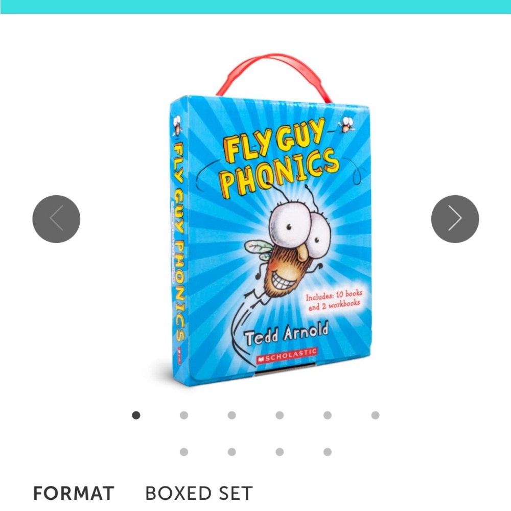 Fly Guy box set 10 books 2 workbooks
